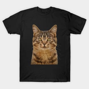 Cat Zoning Out T-Shirt